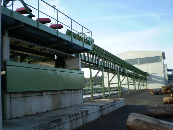 Conveyor System for Sorting Logs