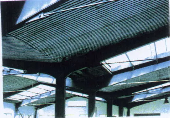 Steel Structure of the Hall